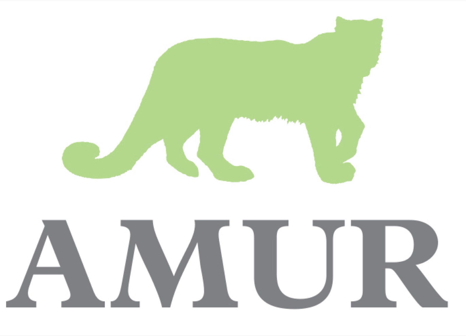 Amur Equipment Finance exterior signage